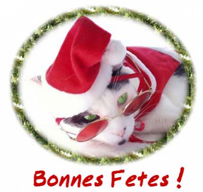 Bonnes f�tes !