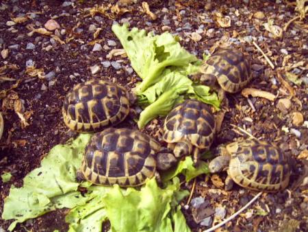 mes vacances a Frontignan..