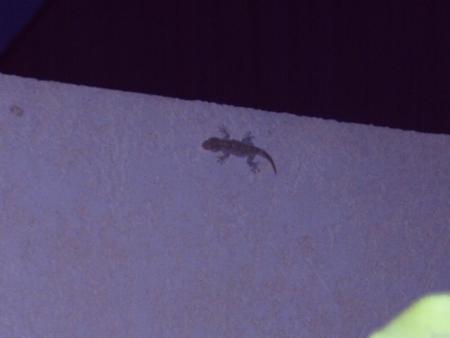 mes vacances a Frontignan..