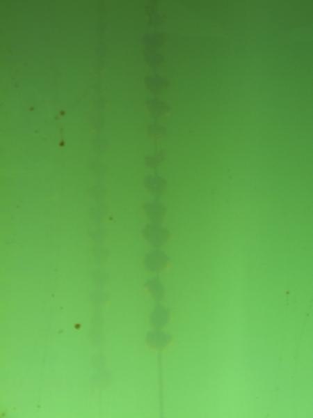 mes vacances a Frontignan..