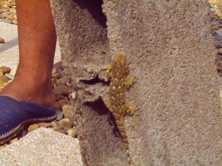 mes vacances a Frontignan..