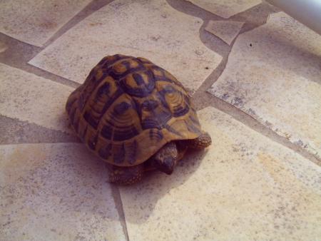 mes vacances a Frontignan..