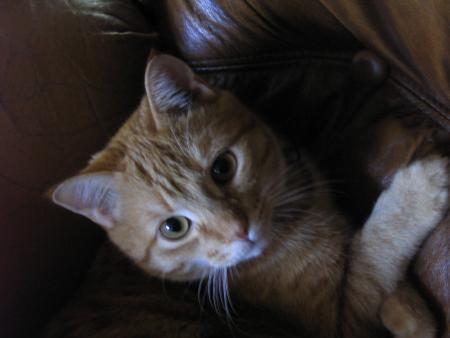 mon b�b� d'amour